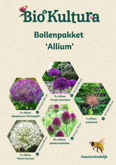 Bollenpakket &quot;Allium&quot; 