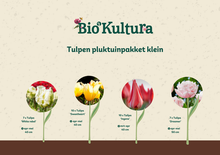 Tulpen pluktuinpakket Klein