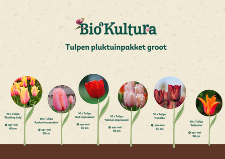 Tulpen pluktuinpakket groot